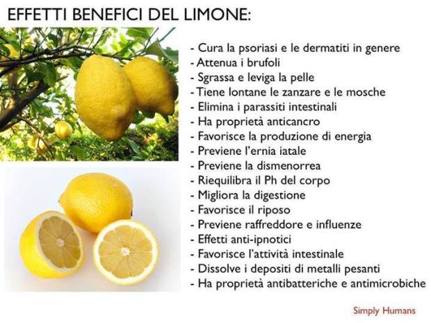 limoneee984078_627614477322076_8967865406579844509_n